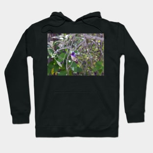 Purple Hummingbird Hoodie